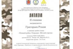 Диплом Григорьев
