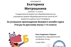 Екатерина Митрошкина