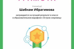 Ибрагимова Шабнам
