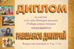 Дмитрий Равшанов