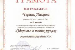 Черняк Никита