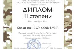 Диплом III степени Команда ГБОУ СОШ №541
